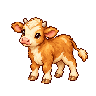 Grassland calf