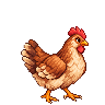 Grassland hen